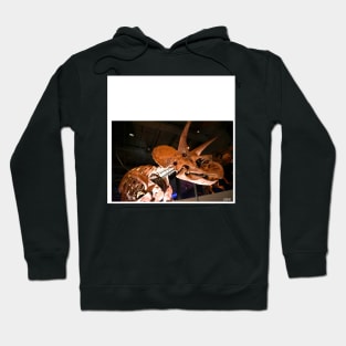 the triceratops dinosaur fossil in museum portrait ecopop photo art Hoodie